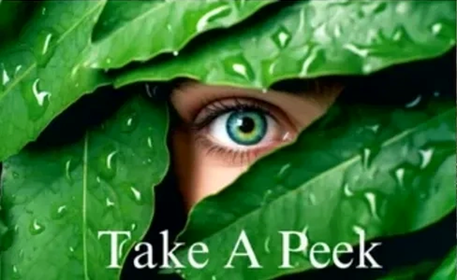 Naked Science Take A Peek eye